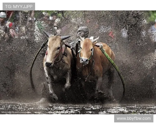 印尼军队与塞曼巴东的较量揭示东南亚安全局势新动态